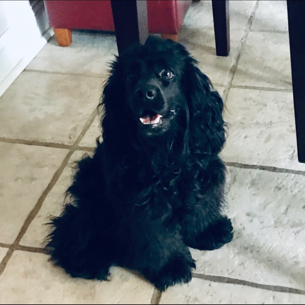 Meet your Posher, Amanda